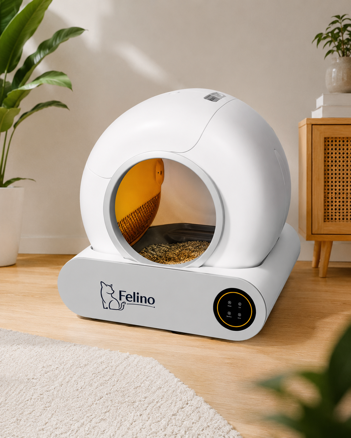 Collection Felino Image
