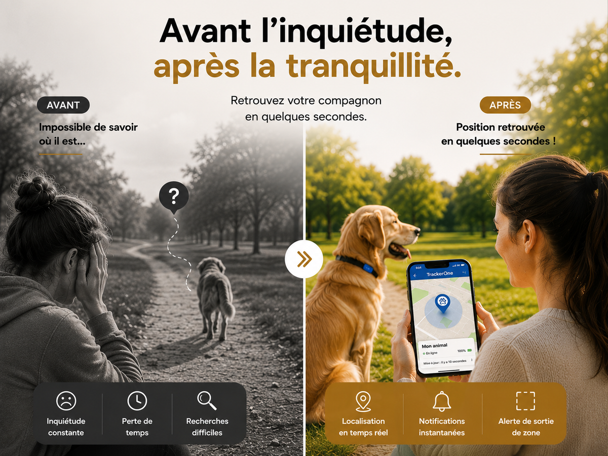 Traceur GPS Anti-Perte pour Chien & Chat